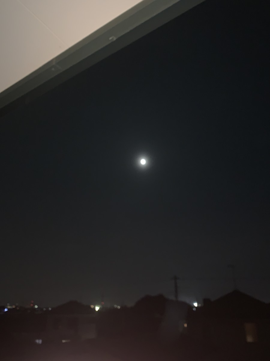 f:id:dohgen:20210527085753j:plain