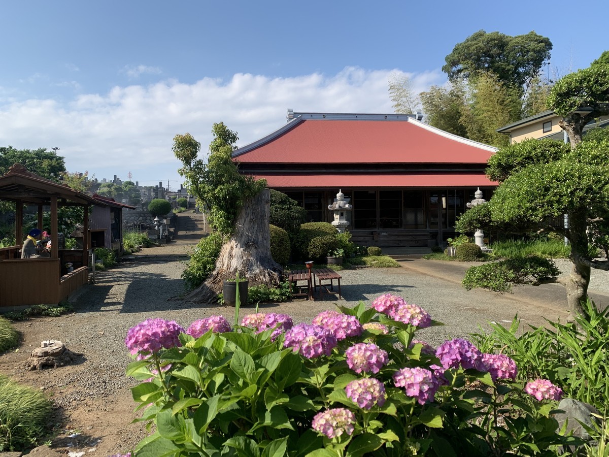 f:id:dohgen:20210601170029j:plain