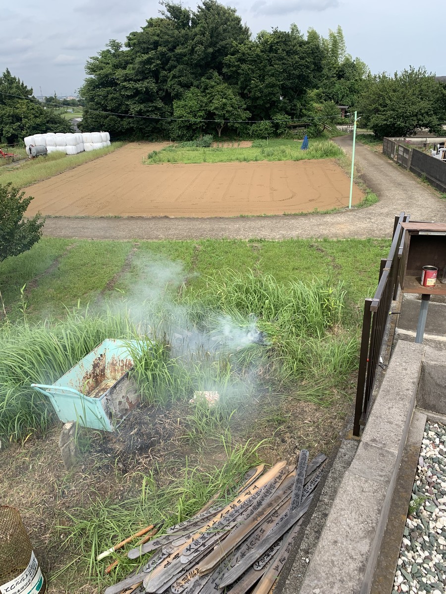 f:id:dohgen:20210618224652j:plain