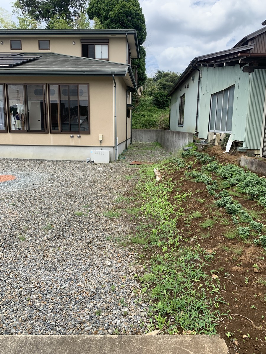 f:id:dohgen:20210621153352j:plain