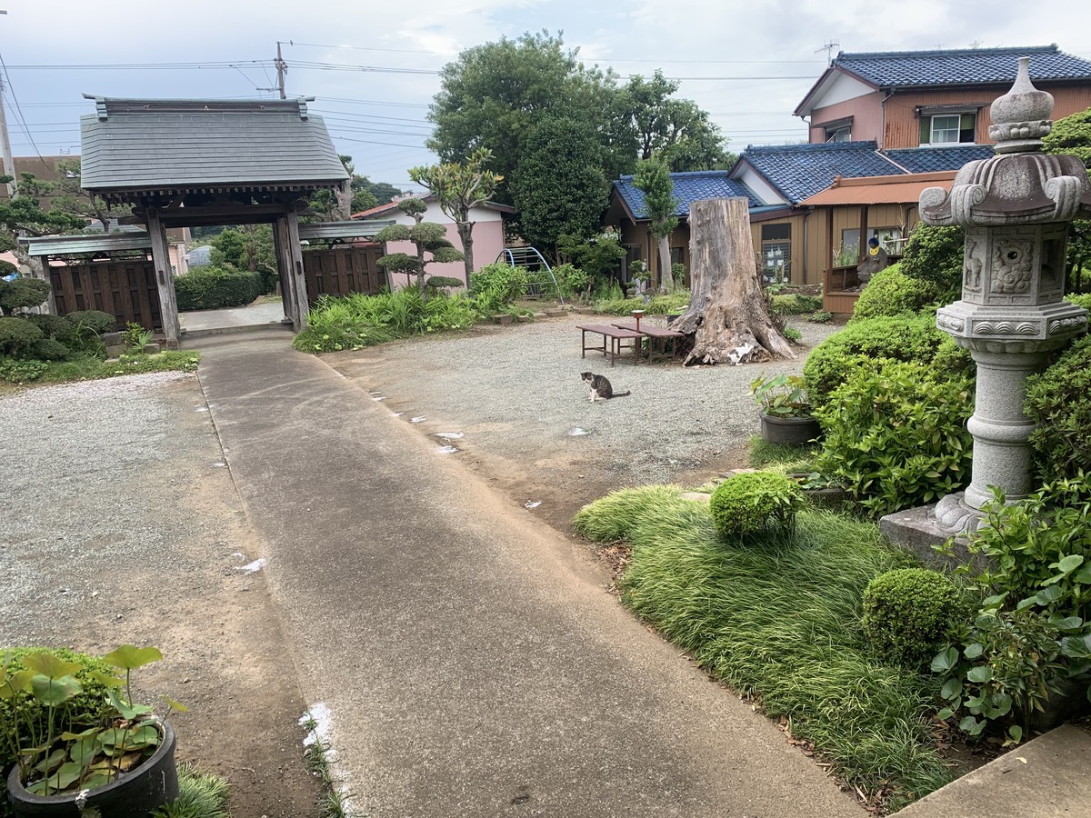 f:id:dohgen:20210622090734j:plain