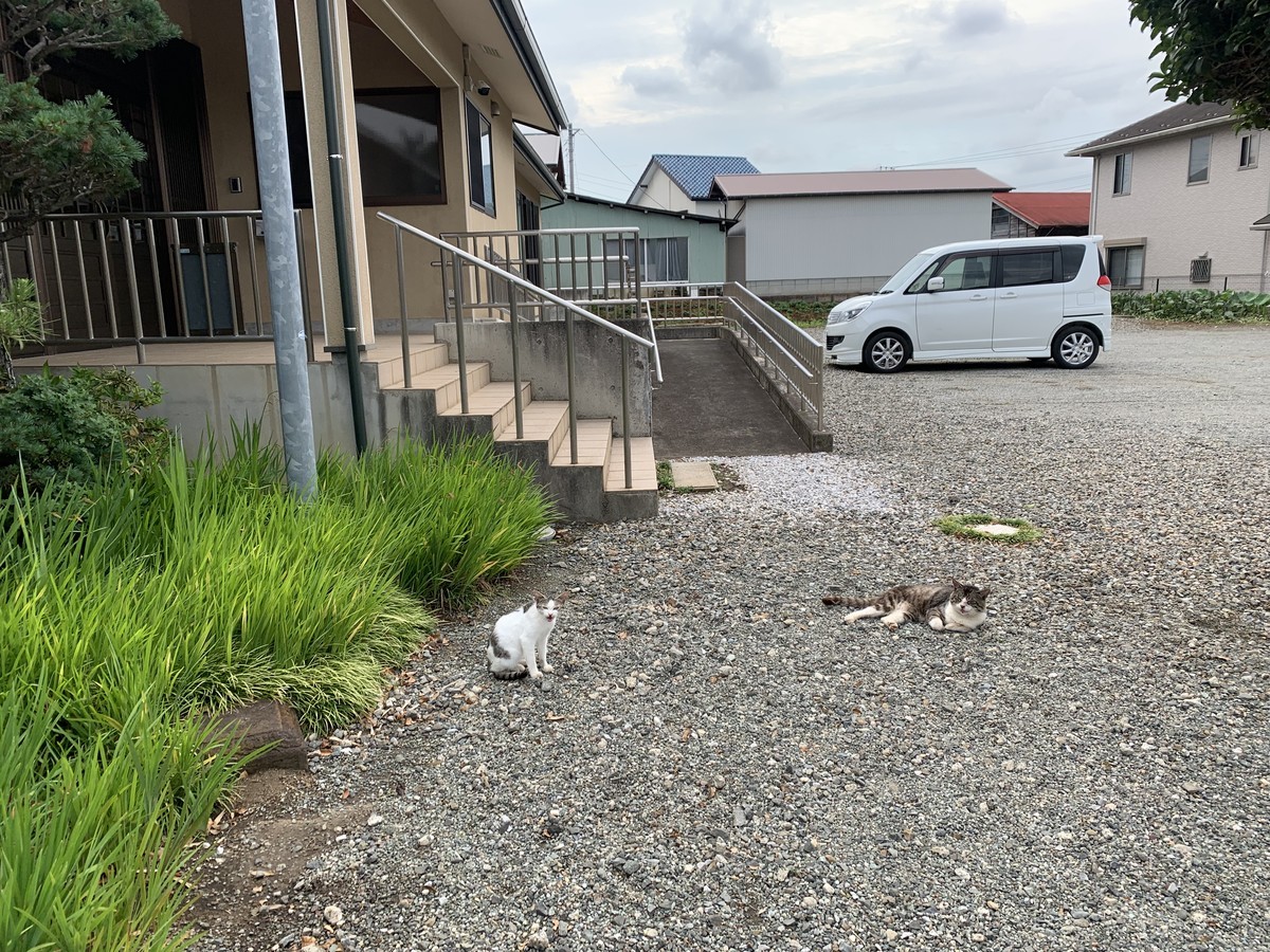 f:id:dohgen:20210622091329j:plain