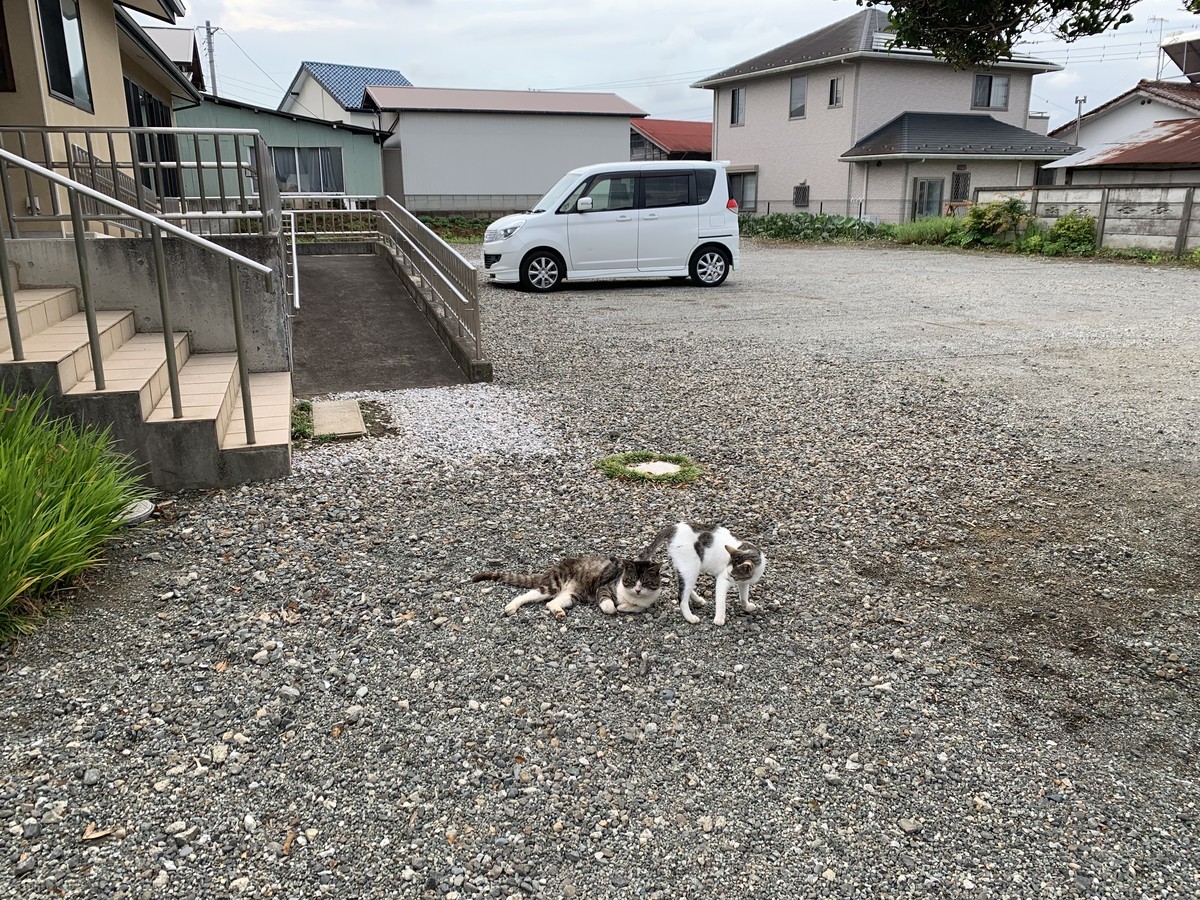 f:id:dohgen:20210622091457j:plain