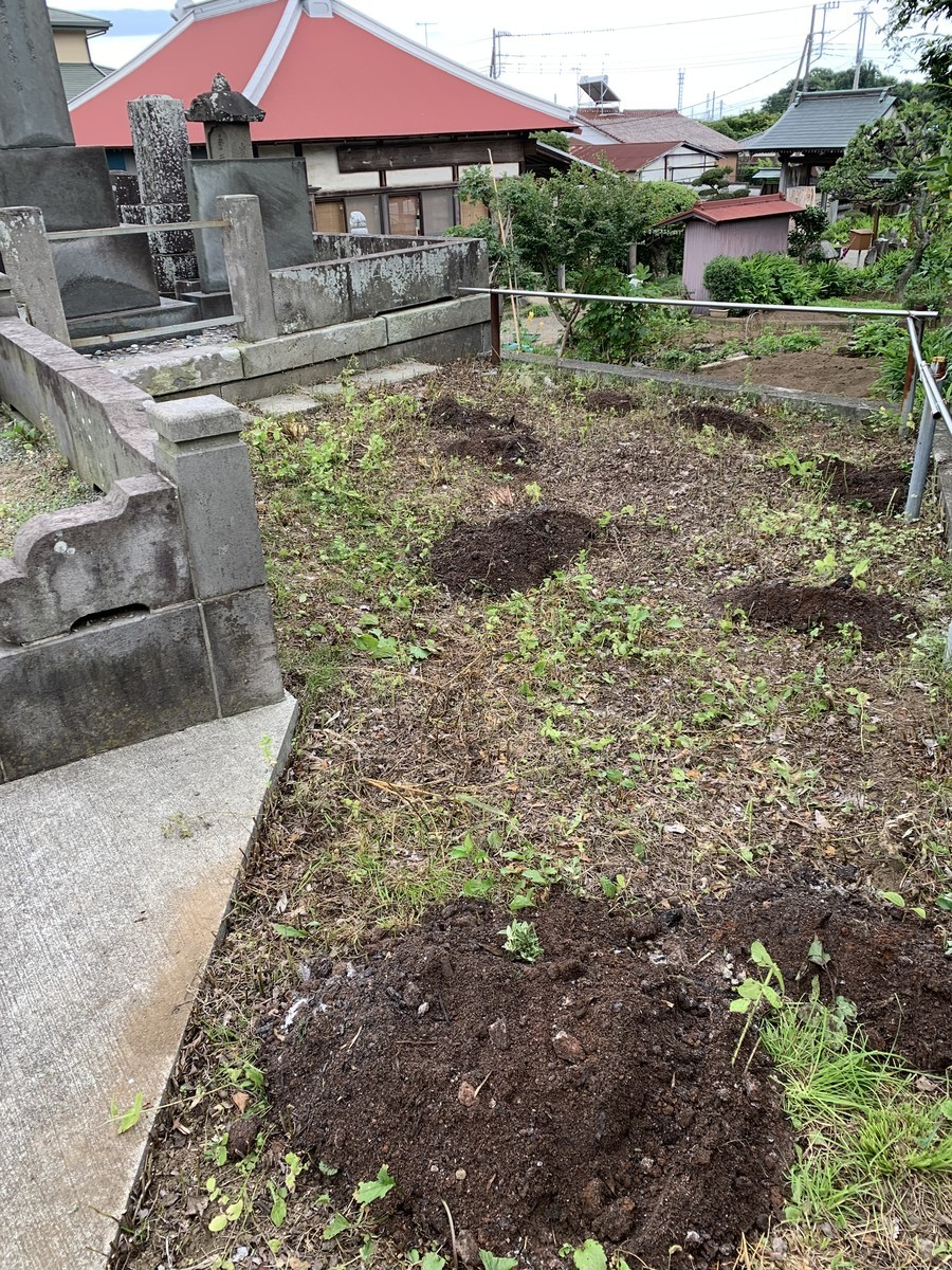 f:id:dohgen:20210626085424j:plain