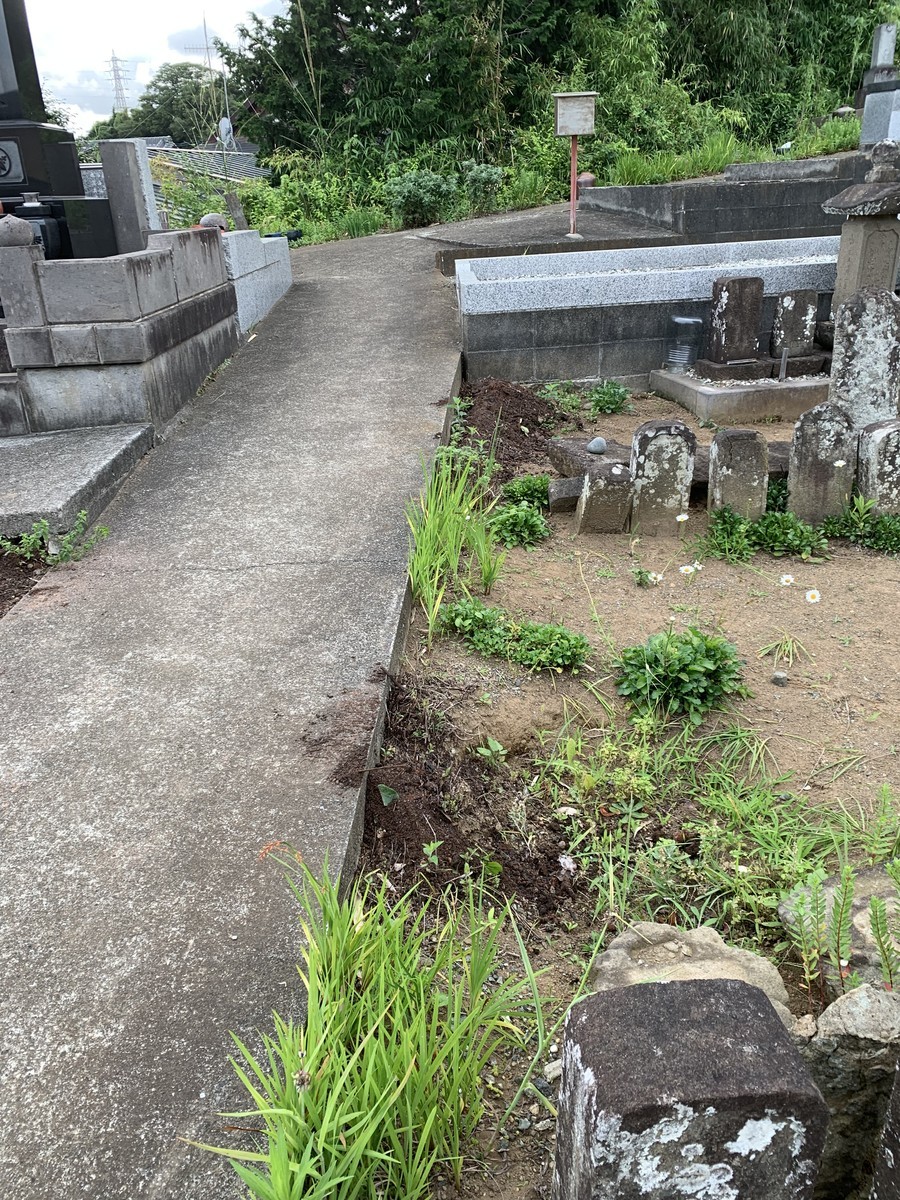 f:id:dohgen:20210626092425j:plain