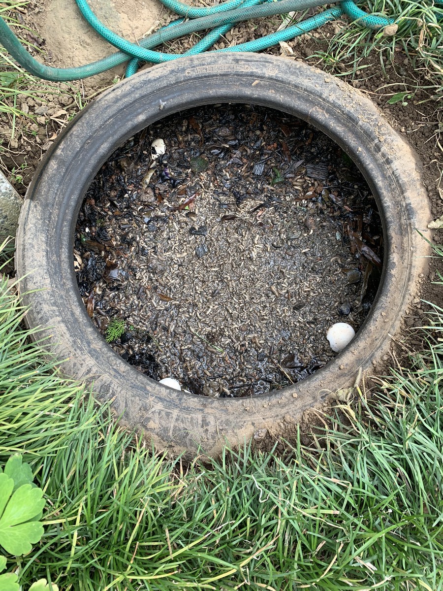 f:id:dohgen:20210627104852j:plain