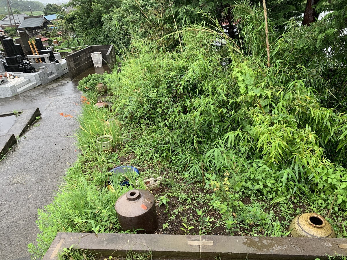 f:id:dohgen:20210703100700j:plain