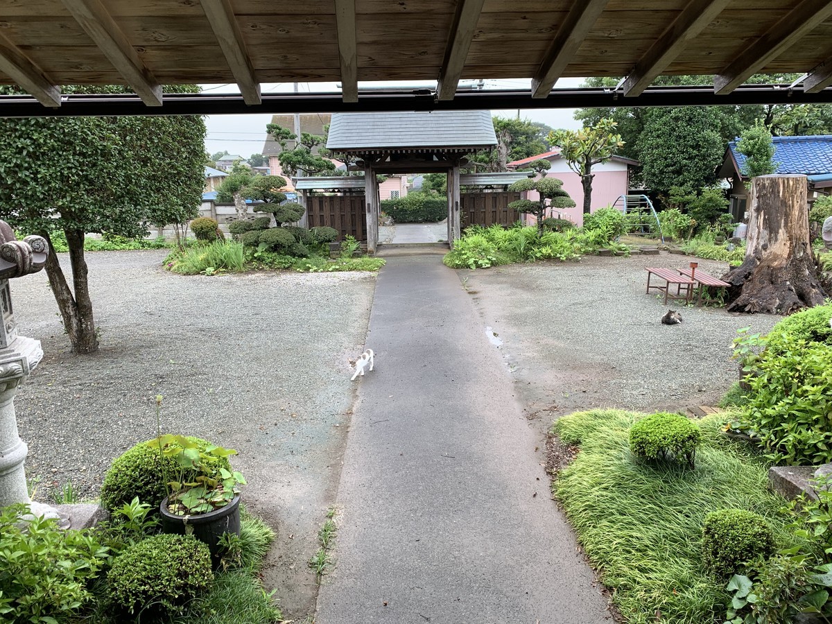 f:id:dohgen:20210705101631j:plain