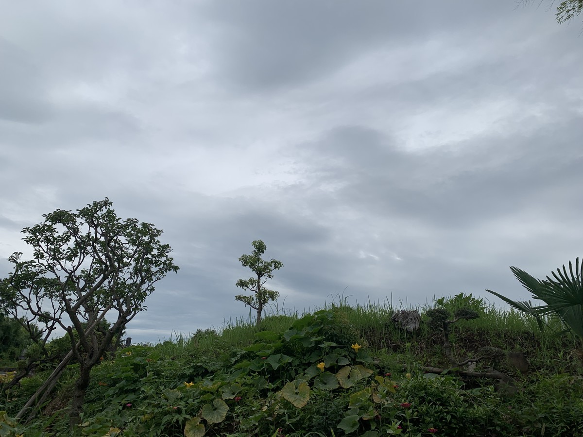f:id:dohgen:20210706101039j:plain