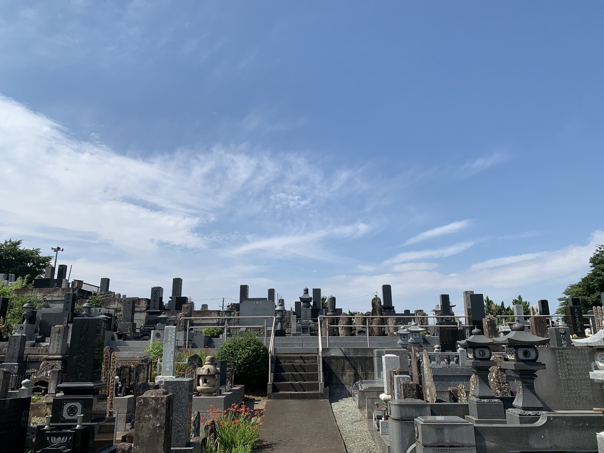 f:id:dohgen:20210711083045j:plain