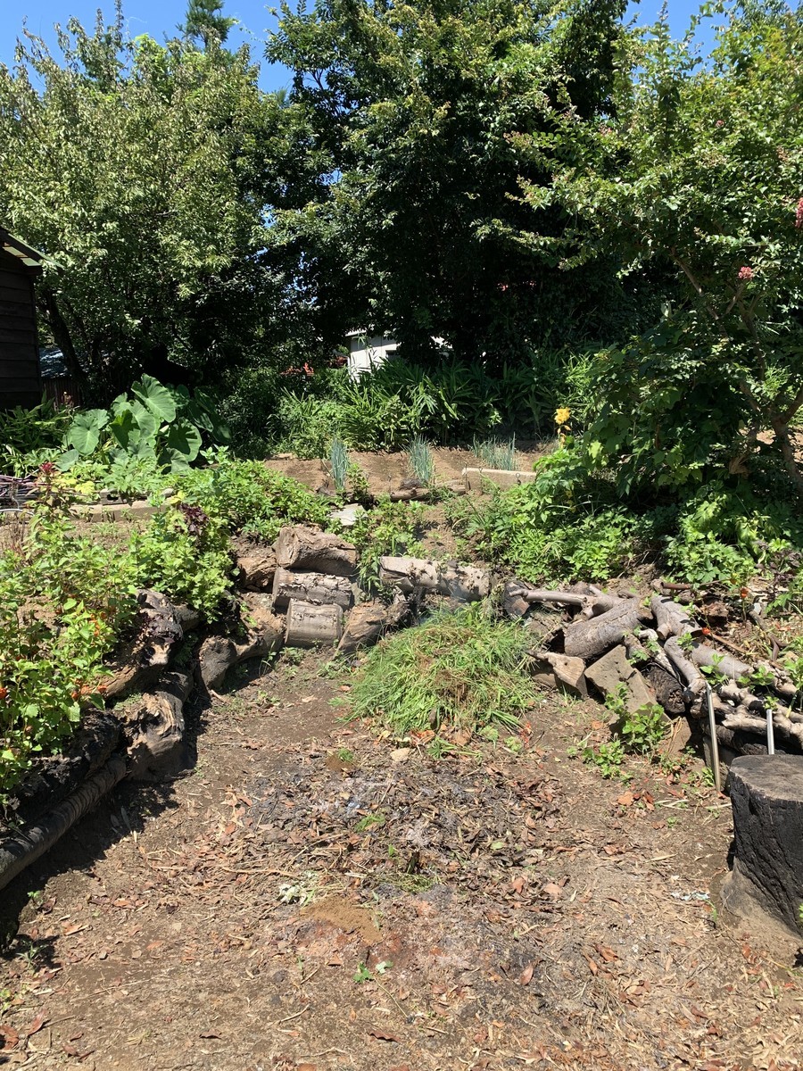 f:id:dohgen:20210718112912j:plain