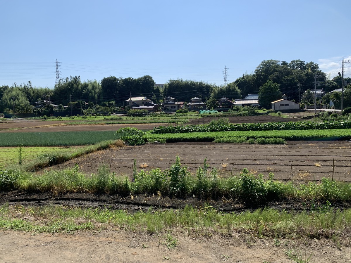 f:id:dohgen:20210719160006j:plain