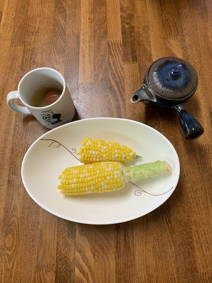 f:id:dohgen:20210725092410j:plain