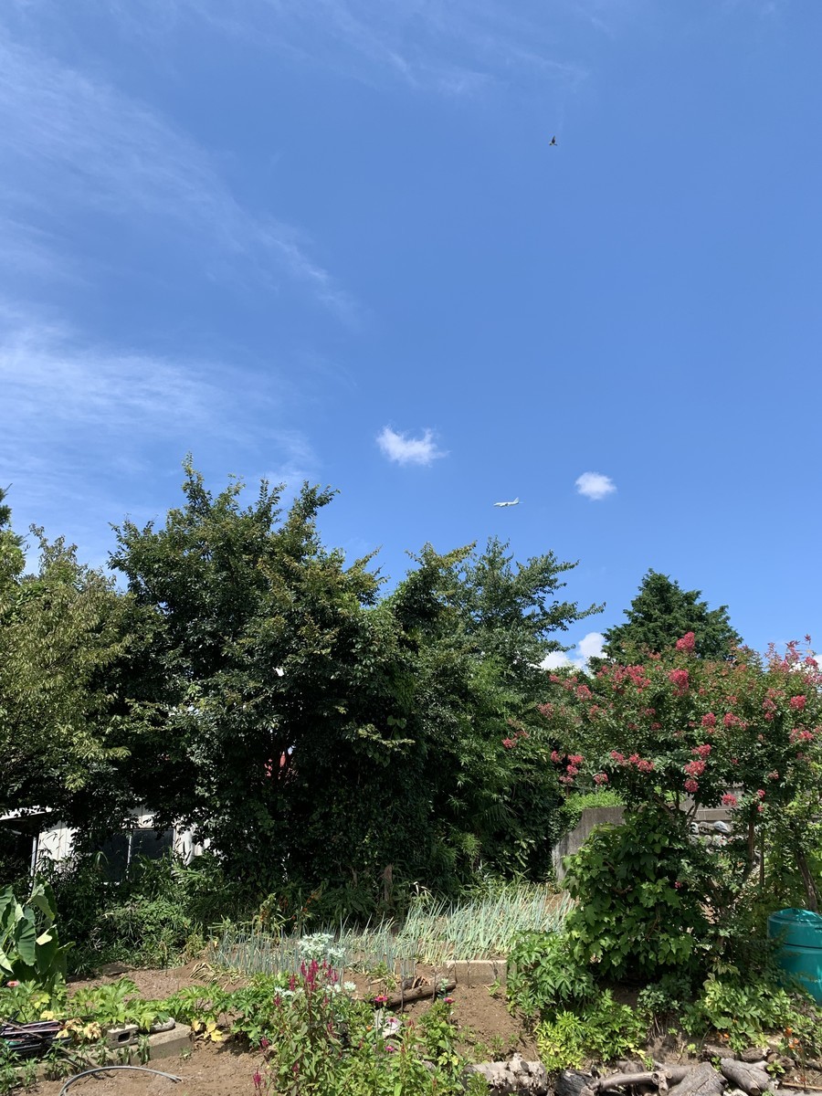 f:id:dohgen:20210802163411j:plain