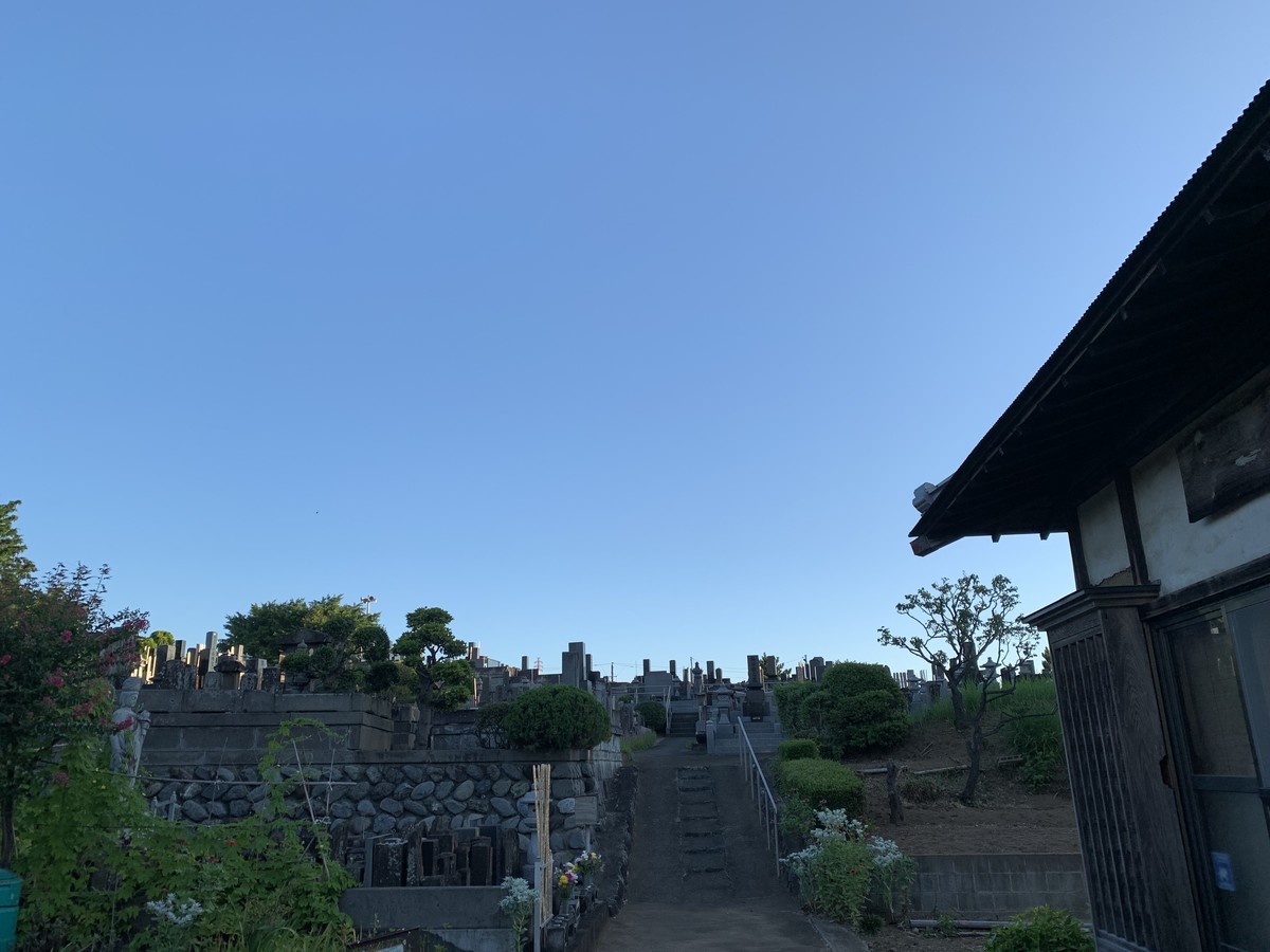 f:id:dohgen:20210805135807j:plain