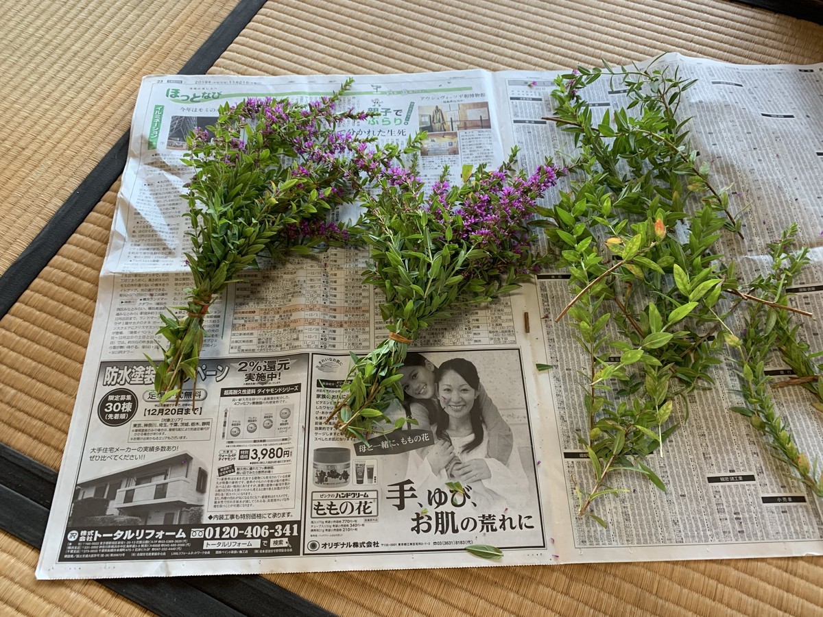 f:id:dohgen:20210805163526j:plain