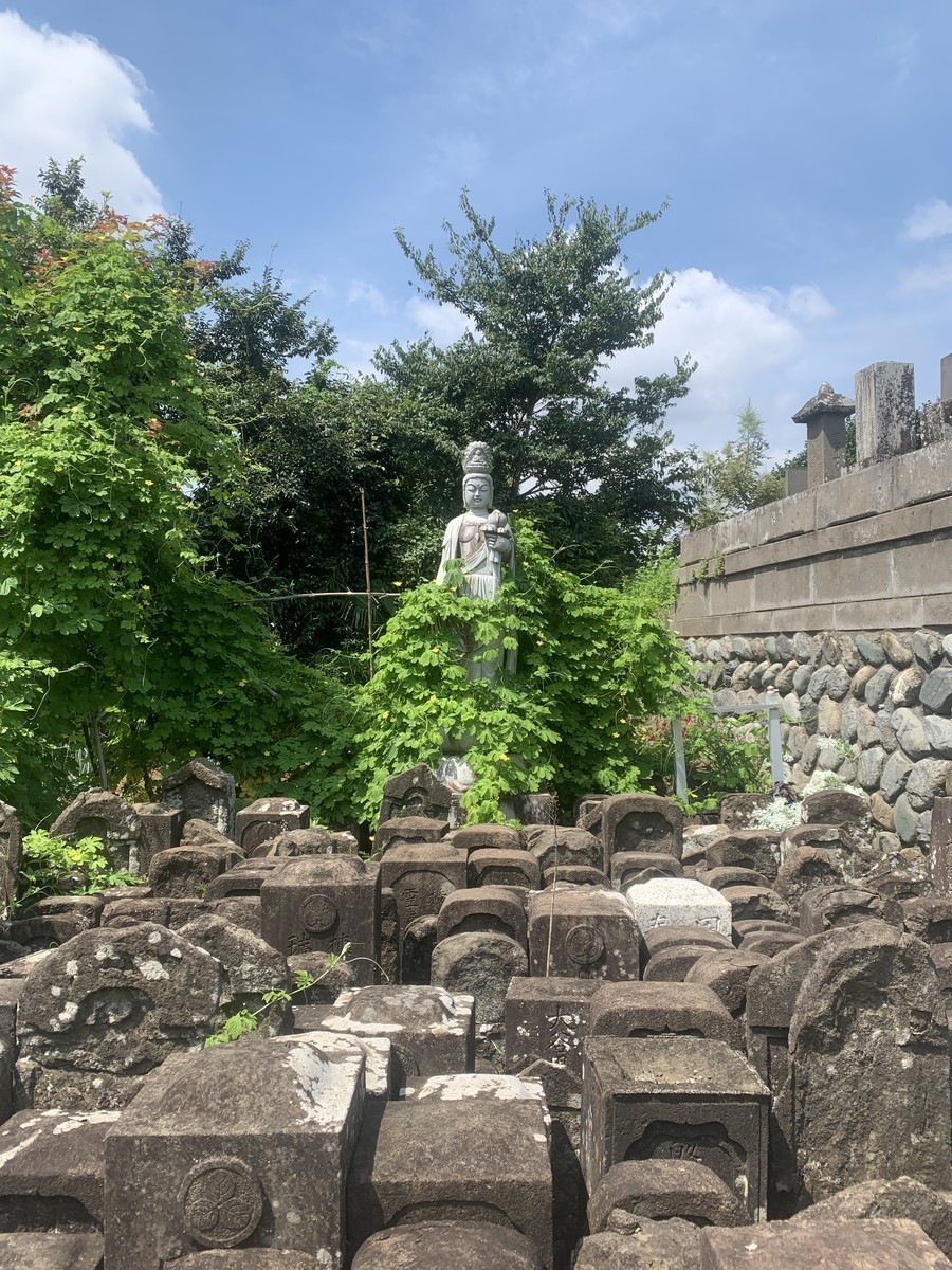 f:id:dohgen:20210826193419j:plain