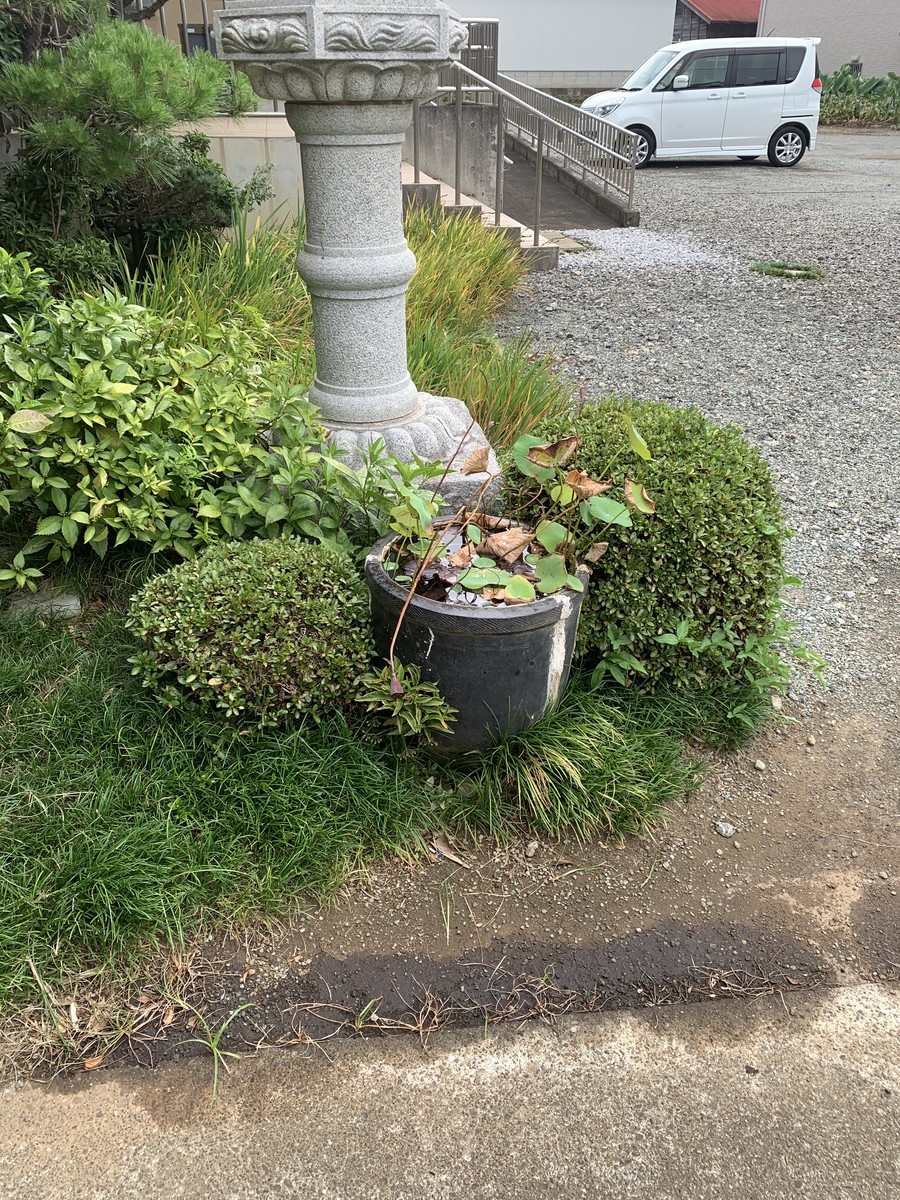 f:id:dohgen:20210901111749j:plain