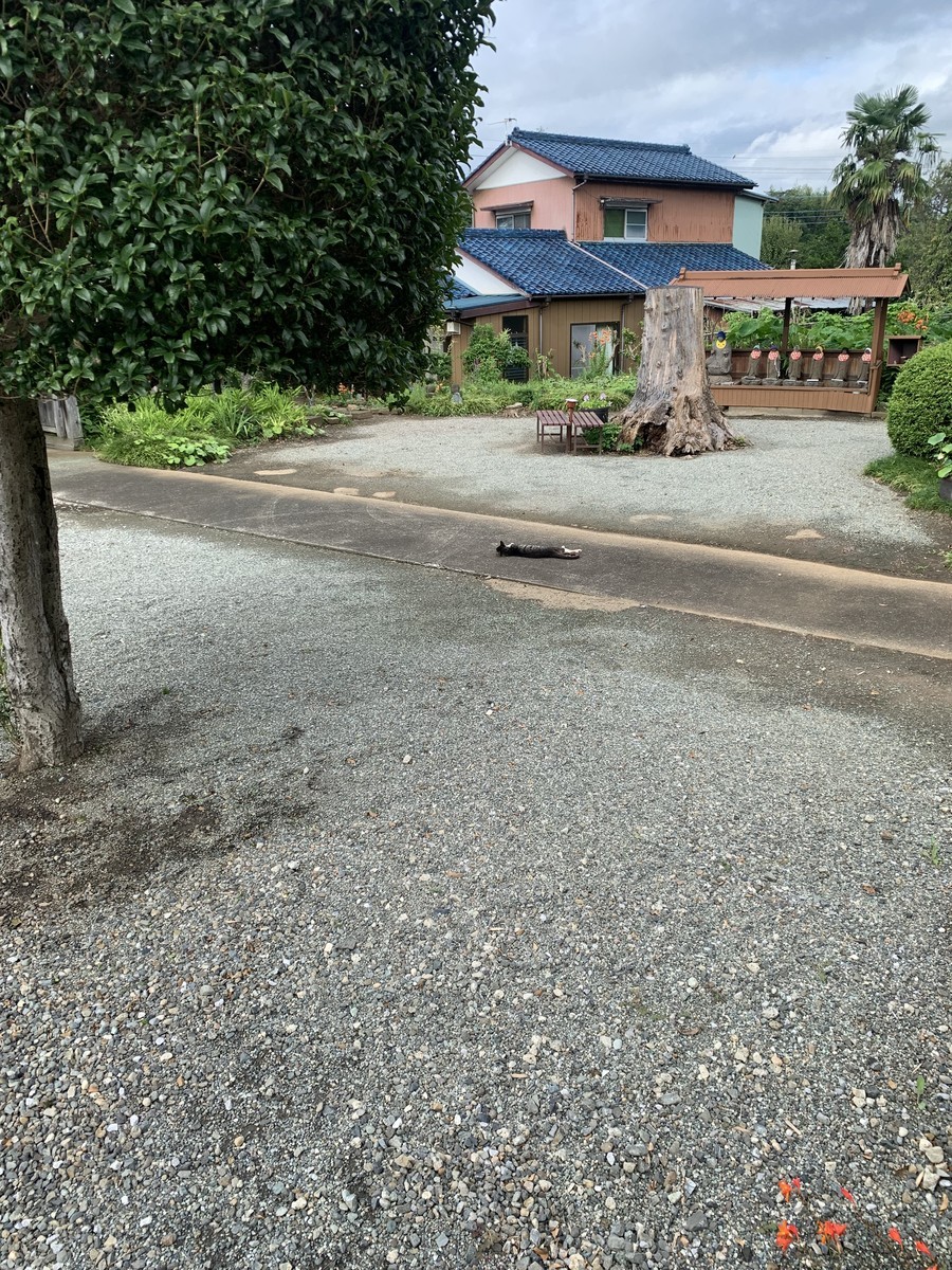 f:id:dohgen:20210920181820j:plain