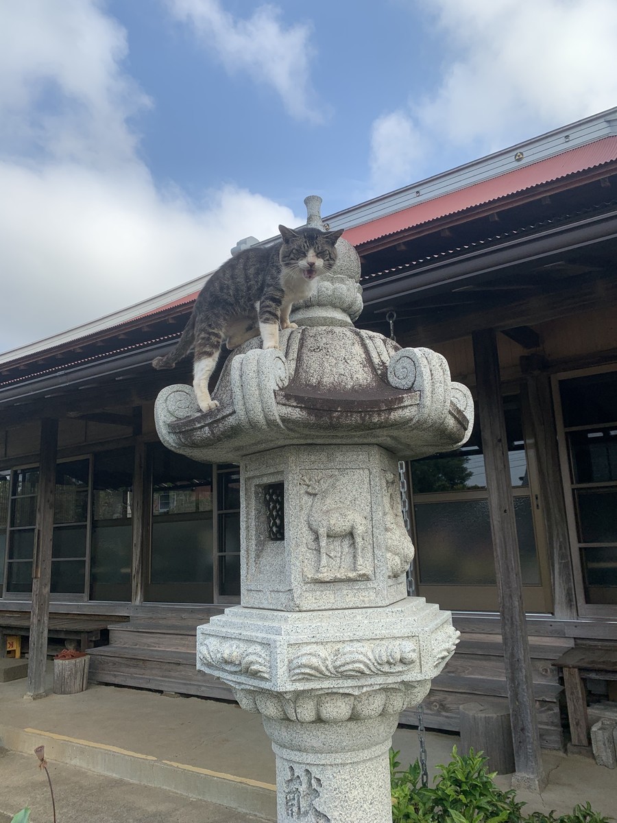 f:id:dohgen:20210920182243j:plain