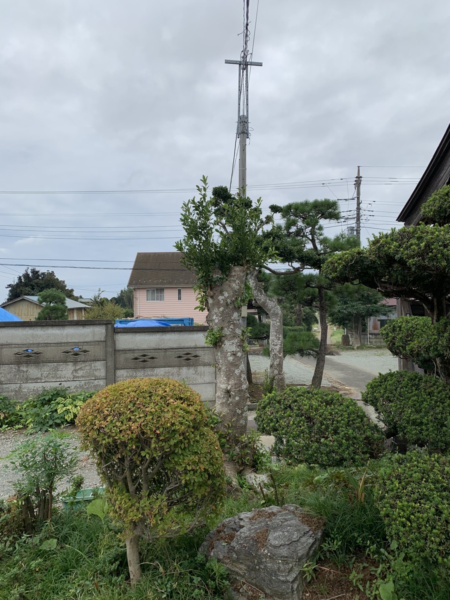 f:id:dohgen:20210926133041j:plain