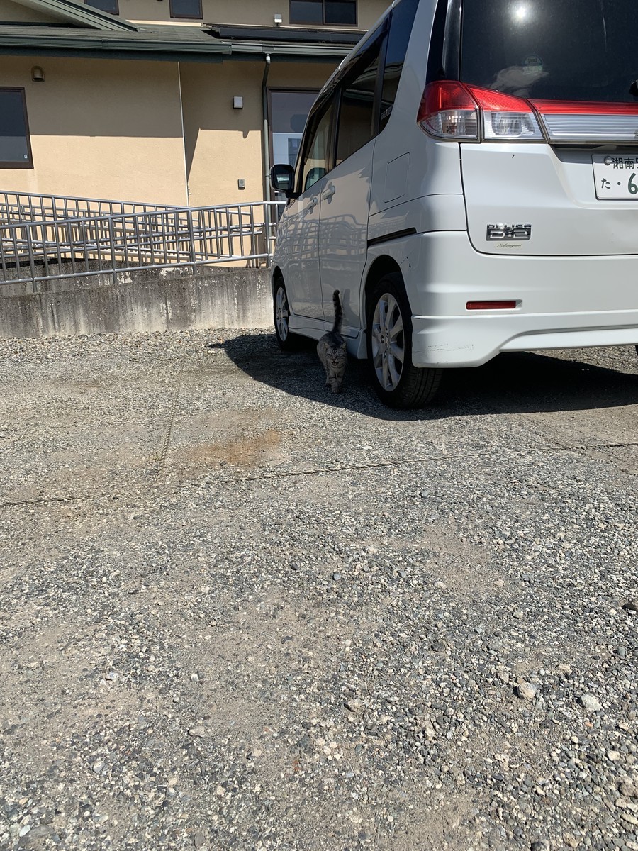 f:id:dohgen:20210927194323j:plain