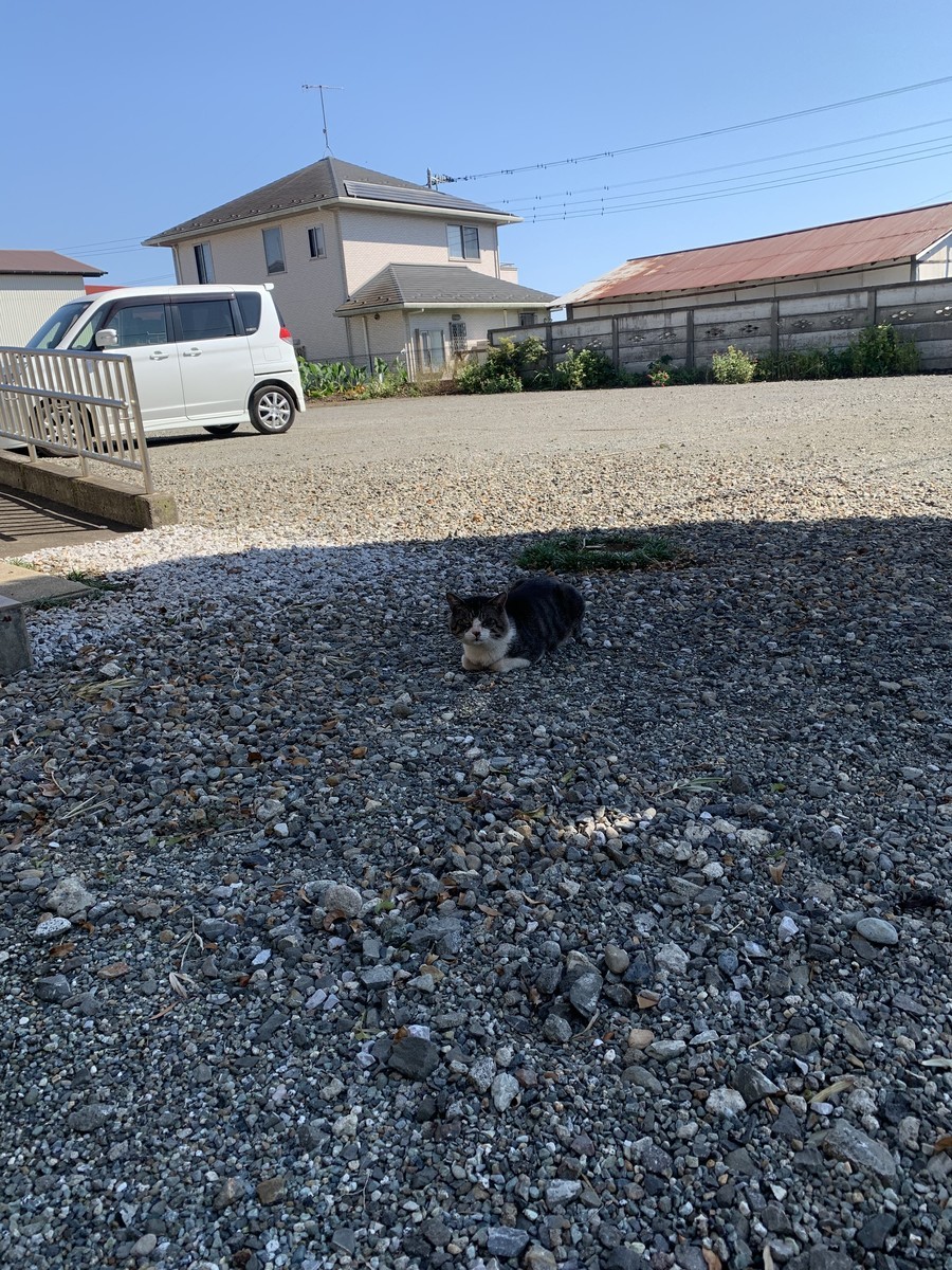 f:id:dohgen:20211004144100j:plain
