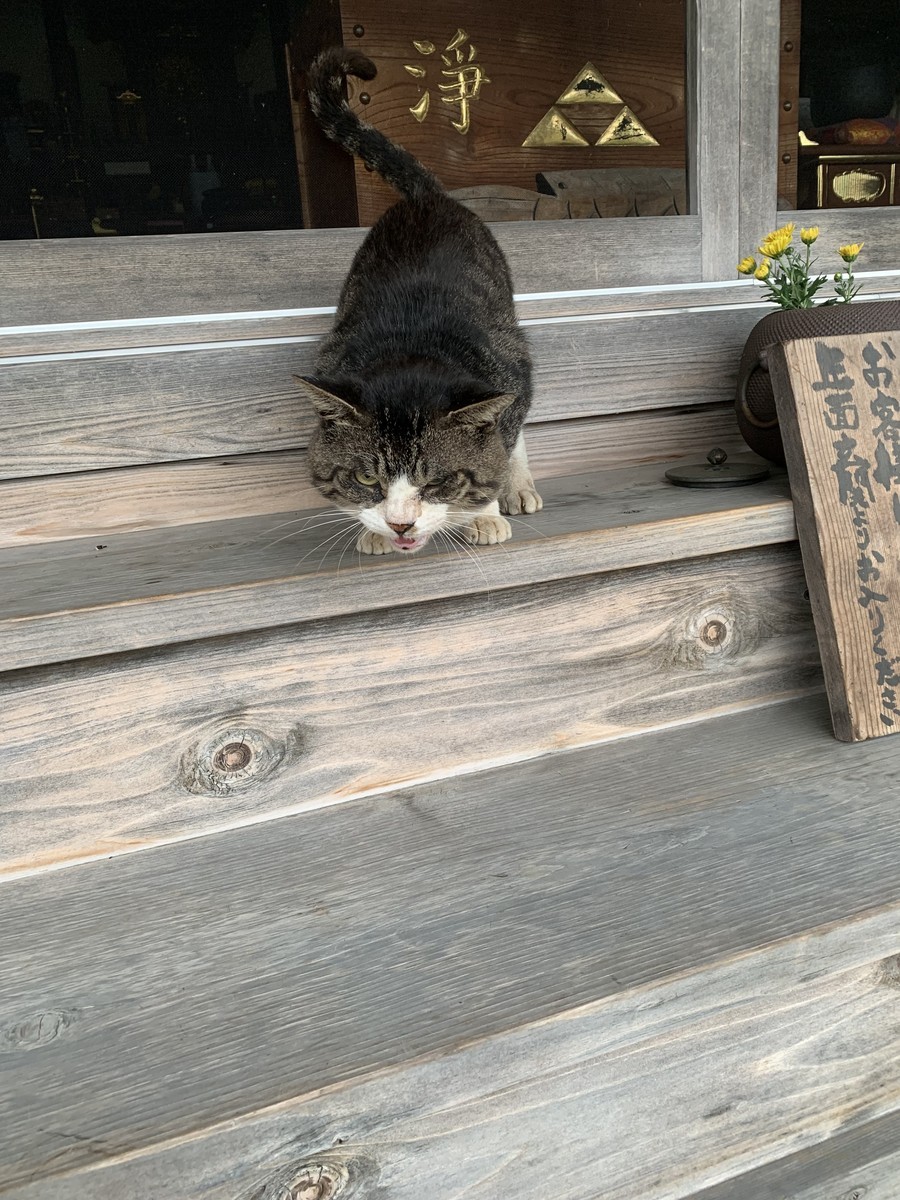 f:id:dohgen:20211009132634j:plain