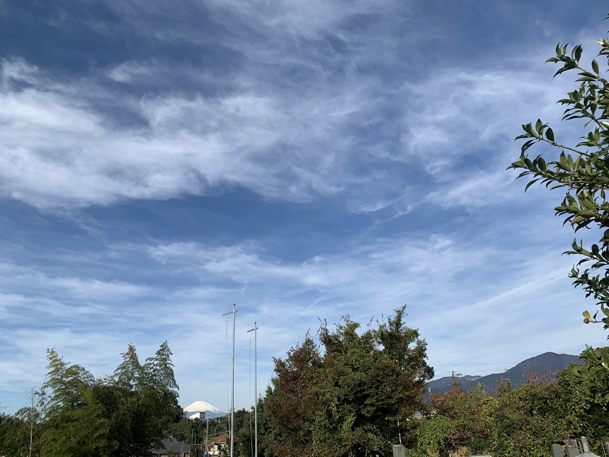 f:id:dohgen:20211101100621j:plain