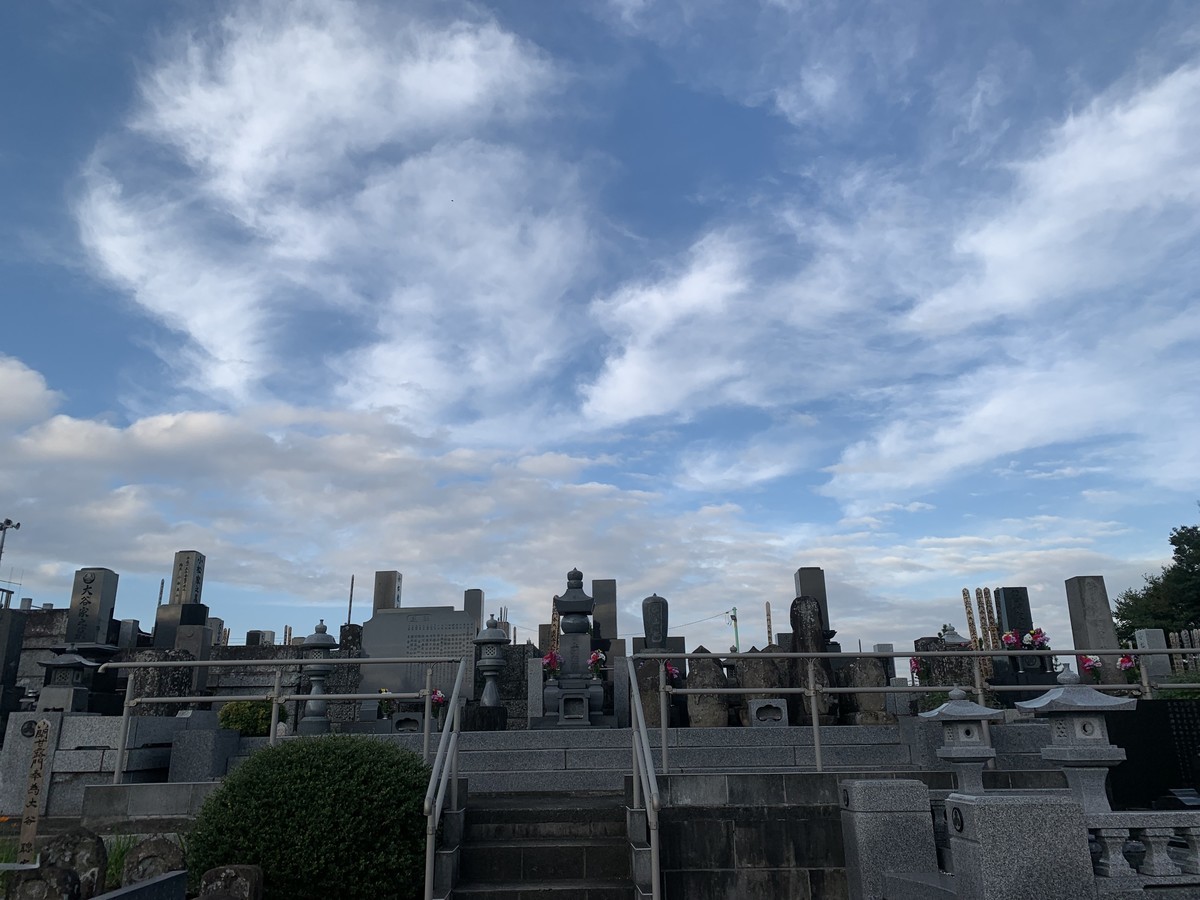 f:id:dohgen:20211108101153j:plain
