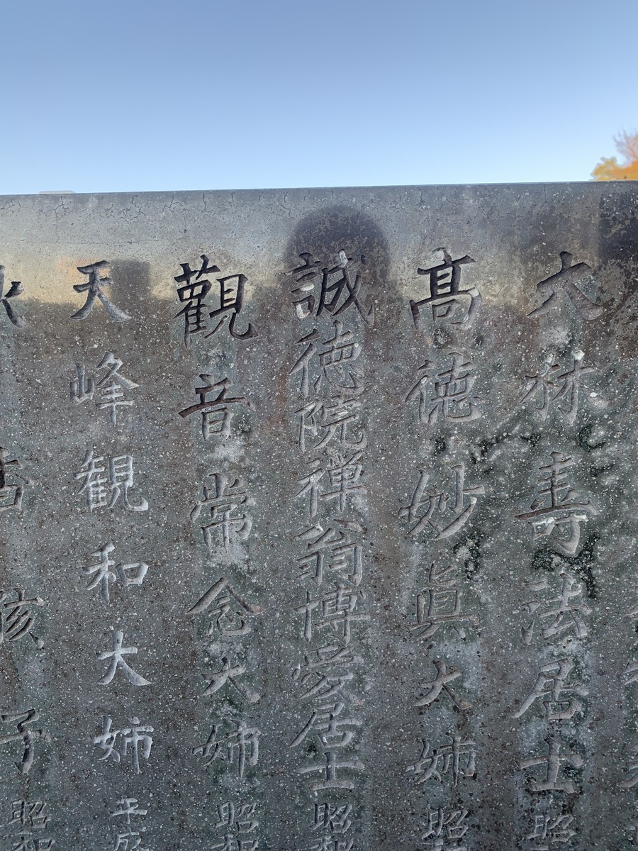 f:id:dohgen:20211112084746j:plain
