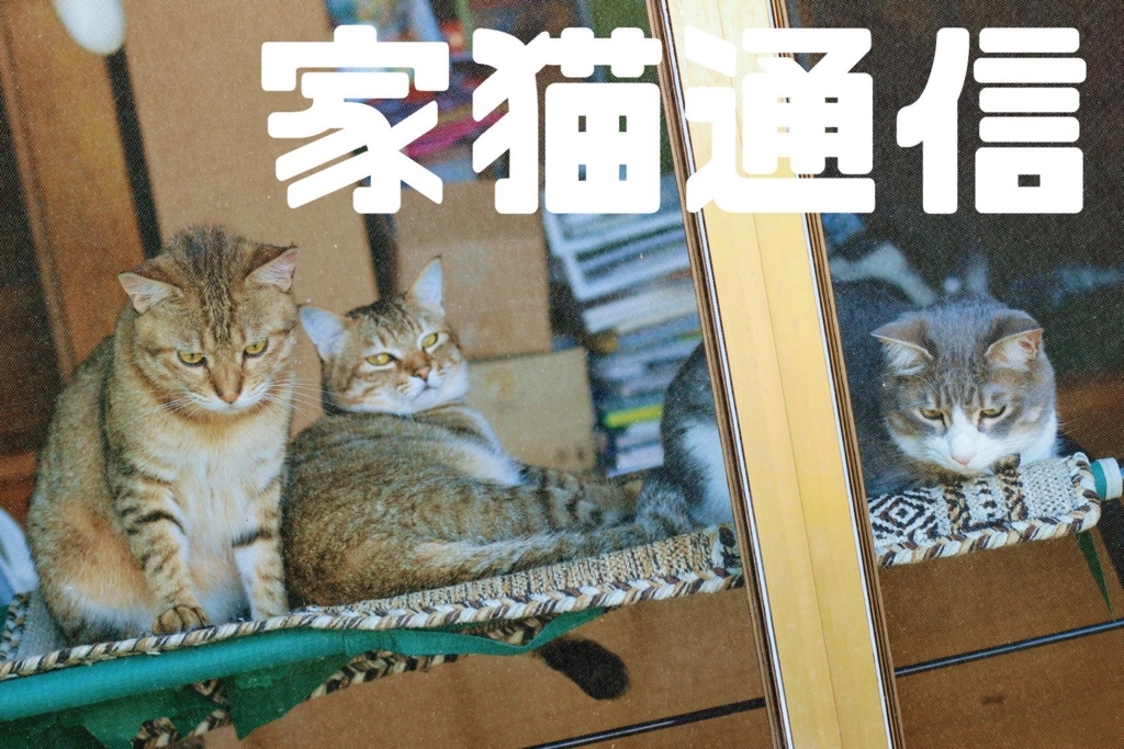 f:id:dohid:20170601175519j:plain