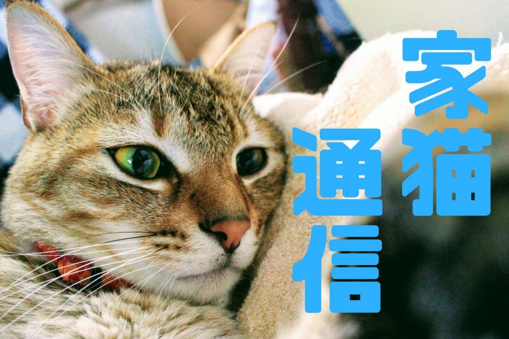 f:id:dohid:20170611033249j:plain