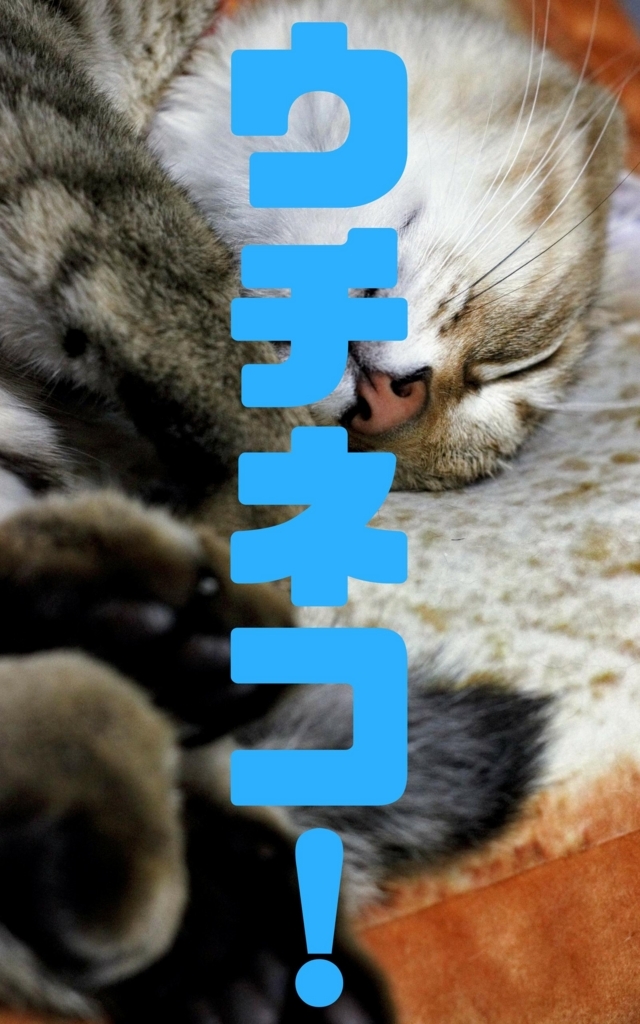 f:id:dohid:20170802163433j:plain