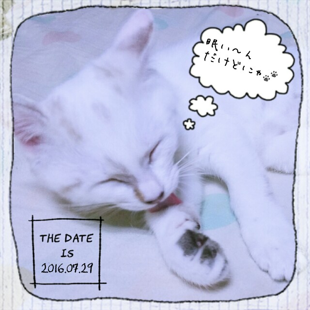 f:id:dohkeshi:20160730002101j:image f:id:dohkeshi:20160730002101j:image