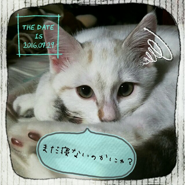 f:id:dohkeshi:20160730002255j:image f:id:dohkeshi:20160730002255j:image