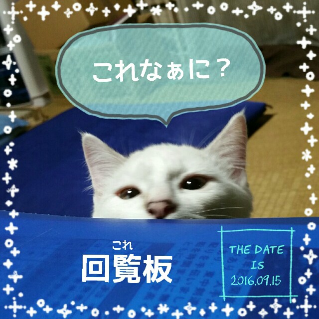 f:id:dohkeshi:20160915231646j:image f:id:dohkeshi:20160915231646j:image