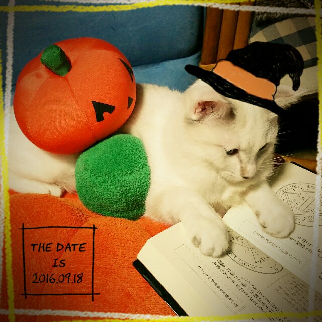 f:id:dohkeshi:20160918203611j:image f:id:dohkeshi:20160918203611j:image