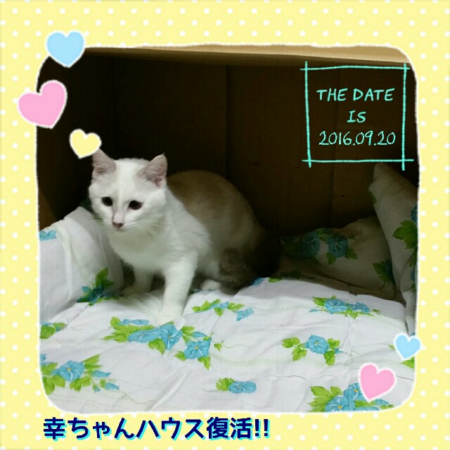 f:id:dohkeshi:20160923080912j:image f:id:dohkeshi:20160923080912j:image