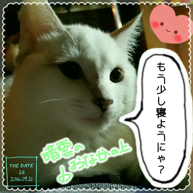 f:id:dohkeshi:20160923081334j:image f:id:dohkeshi:20160923081334j:image