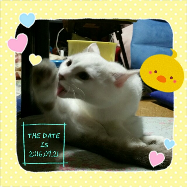 f:id:dohkeshi:20160923122952j:image f:id:dohkeshi:20160923122952j:image