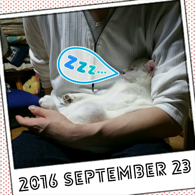 f:id:dohkeshi:20160924233951j:image