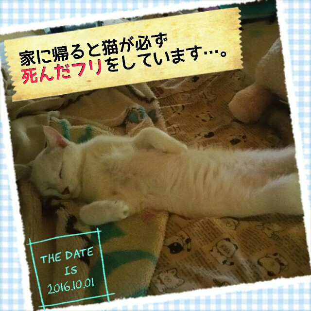 f:id:dohkeshi:20161003084009j:image f:id:dohkeshi:20161003084009j:image