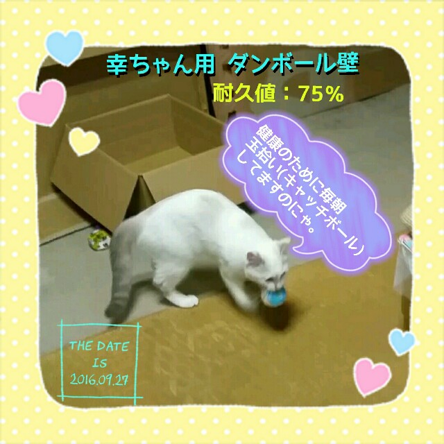 f:id:dohkeshi:20161003084043j:image f:id:dohkeshi:20161003084043j:image