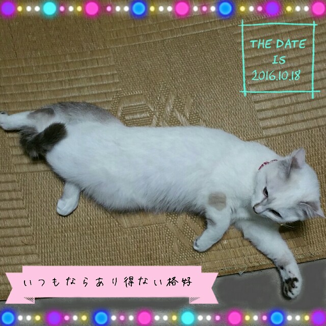f:id:dohkeshi:20161018232819j:image