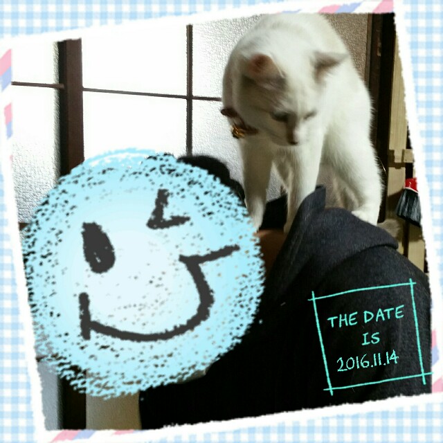 f:id:dohkeshi:20161115080316j:image