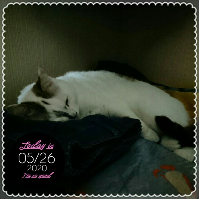 f:id:dohkeshi:20200526231805j:image f:id:dohkeshi:20200526231805j:image