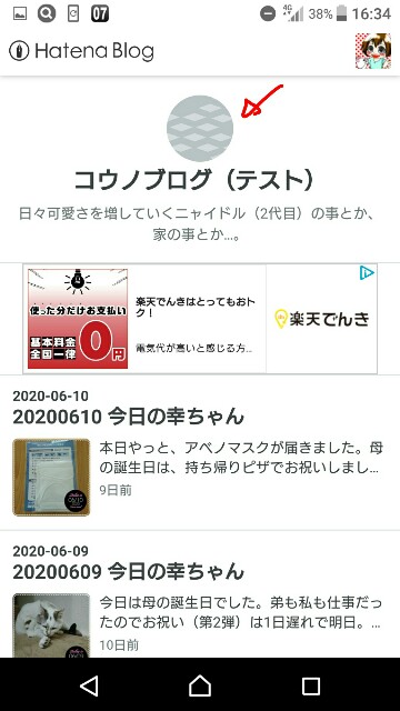 f:id:dohkeshi:20200622121309j:plain f:id:dohkeshi:20200622121309j:plain
