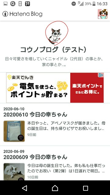 f:id:dohkeshi:20200622121323j:plain f:id:dohkeshi:20200622121323j:plain