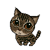とあるブログの猫Bさん ねこさむさん家のしめじさん